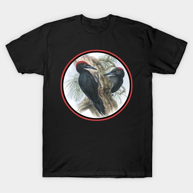 Black woodpecker - Dryocopus martius T-Shirt by Luggnagg